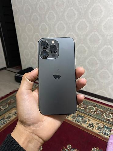 IPhone 13 Pro, Б/у, Графит, Чехол, 77 %