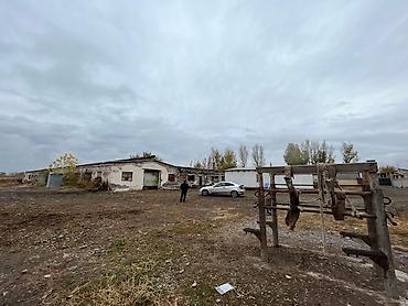 Аренда цехов, заводов и фабрик: Продается ферма (сарай) в г.Кара-Балта, село Ак-Башат. 3х комнатная — 2