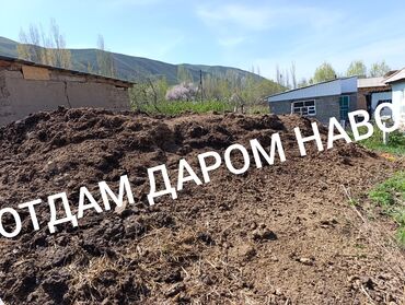 Перегной, навоз: В тоннах, Самовывоз, Хово