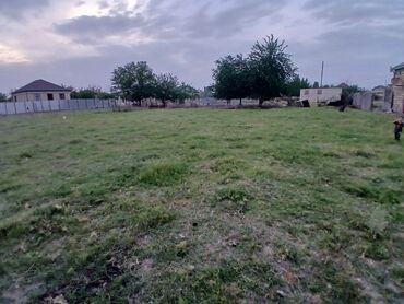 Torpaq sahələrinin satışı: 10 sot, Tikinti, Mülkiyyətçi, Kupça (Çıxarış)