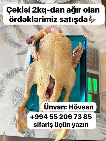 Digər quş: Kənd toyuğu Toyuq Bütöv — 6
