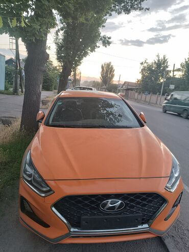 хюндай саната 2010: Hyundai Sonata: 2019 г., 2 л, Автомат, Газ, Седан