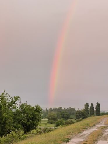 топоз сатылат: Дрова Орех, Самовывоз