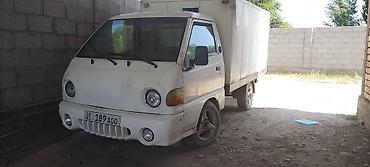 пикап корея: Hyundai Porter: 2006 г., 2.5 л, Механика, Дизель, Фургон — 3