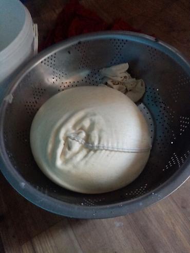 mozarella pendir: Keçi və inəy pendiri — 1