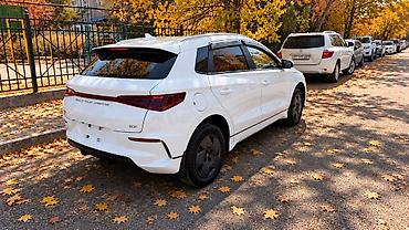 motor 2.0 alt: BYD E2: 2023 г., Электромобиль, Хэтчбэк — 4