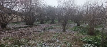 Həyət evləri və villaların satışı: 7 otaqlı, 110 kv. m — 9