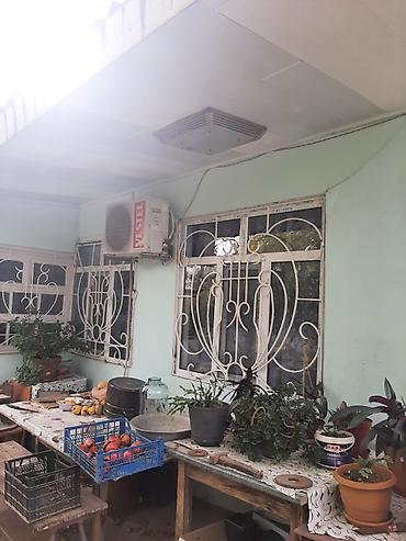 Torpaq: 13 sot, Tikinti, Maklerlər narahat etməsin, Bələdiyyə, Kupça (Çıxarış) — 6