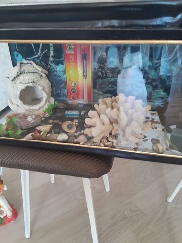Akvariumlar: Hərşeyi var. qızdırıcı . filter . qraduz . və.s. hündürü 26sm. eni — 2