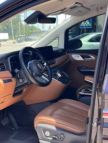 hongqi: Voyah : 2022 г., 2 л, Автомат, Бензин, Минивэн — 9