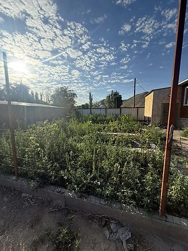бука сарай: Продается благоустроенный сарай с готовым хозяйством в селе — 3