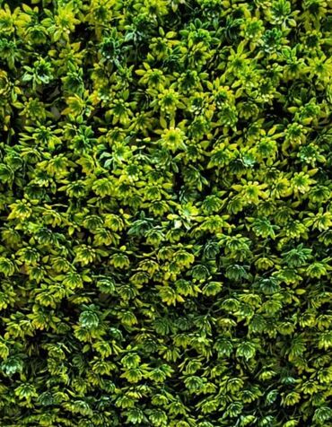 Süni güllər: Süni yaşıl divar paneli müxtəlif yaşıl yarpaqların və qırmızı — 39