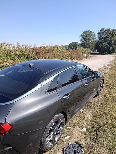 Kia: Kia K5: 2020 г., Седан — 7