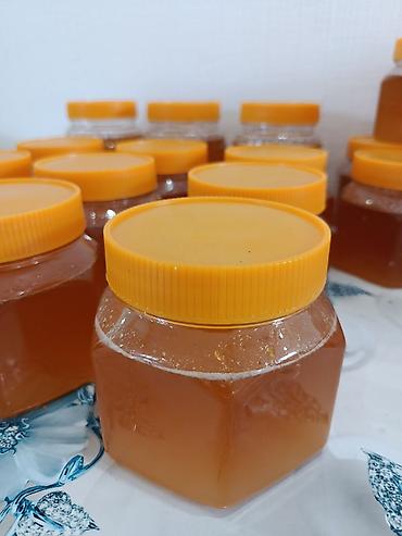 Продукты питания: Натуральный мёд в пластиковых банках с герметичными завинчивающимися — 4