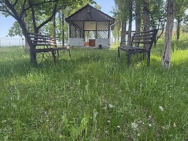 Аренда юрт: Этно-гостевой дом с конными прогулками и проживанием - Размещение — 18