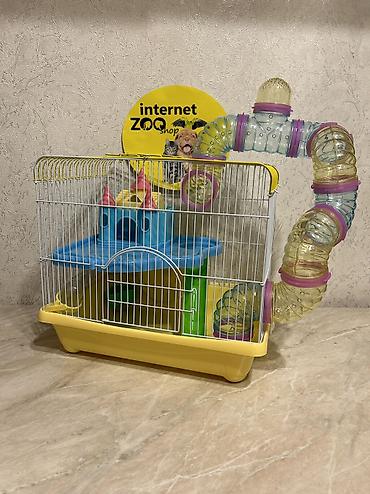 Хомяки: Продаются хомячки джунгарские, сирийские, ангорские пушистые хомячки — 19