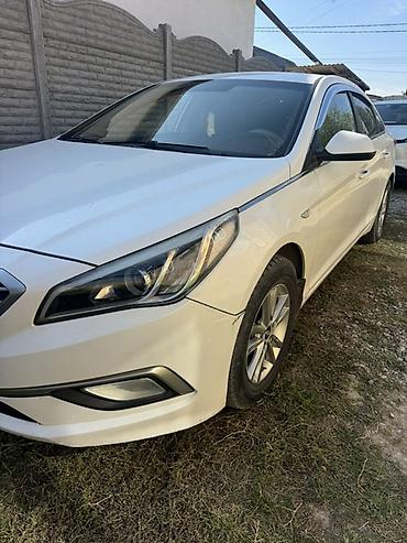 лобовое стекло byd yuan up: Hyundai Sonata: 2015 г., 2 л, Автомат, Газ, Седан — 4