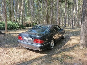 мерске отмен: Mercedes-Benz E-Class: 1996 г., 2.8 л, Автоматтык, Бензин, Седан