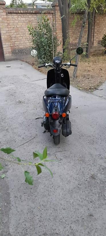мини мопед бу: Мини мопед Honda, 50 куб. см, Бензин, Б/у — 10