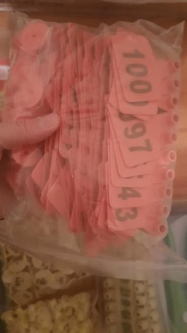 Breloklar: Qoyun və inəklər üçün müxtəlif növdə qulaq birkalar və qulaq deşənlər — 14