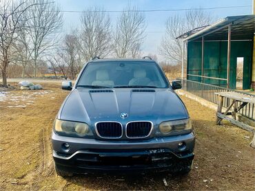 BMW: BMW X5: 2003 г., 3 л, Автомат, Дизель, Внедорожник — 3