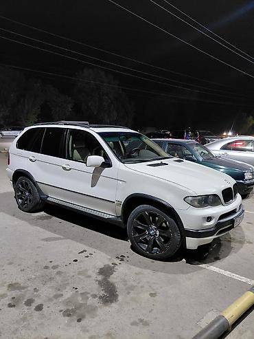 вдоль реки: BMW X5: 2005 г., 4.8 л, Автомат, Бензин, Кроссовер — 3