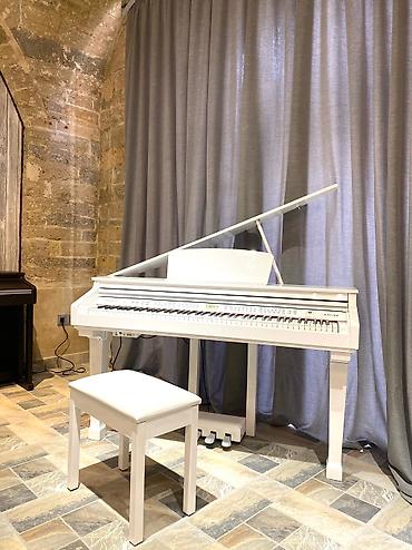 Musiqi alətləri: Koreya istehsali olan dünya şöhrətli kurzweil pianoları. Sevimli — 10