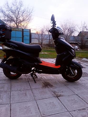 Скутеры: Скутер/мопед городского типа Только обмен на АВТО Основные — 8
