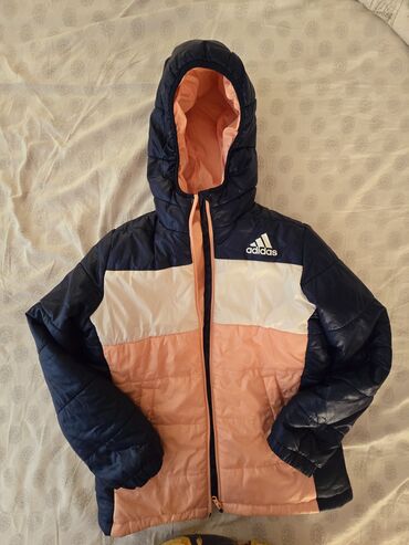 Kurtkalar: 11,12 yawa firmalar her giymete bartezelerde — 6