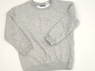 Sweatshirt, Lupilu, 5-6 years, 110-116 cm, condition - Very good
