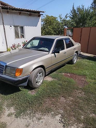 Продажа авто: Mercedes-Benz W124: 1989 г., 2.3 л, Механика, Бензин, Седан — 2