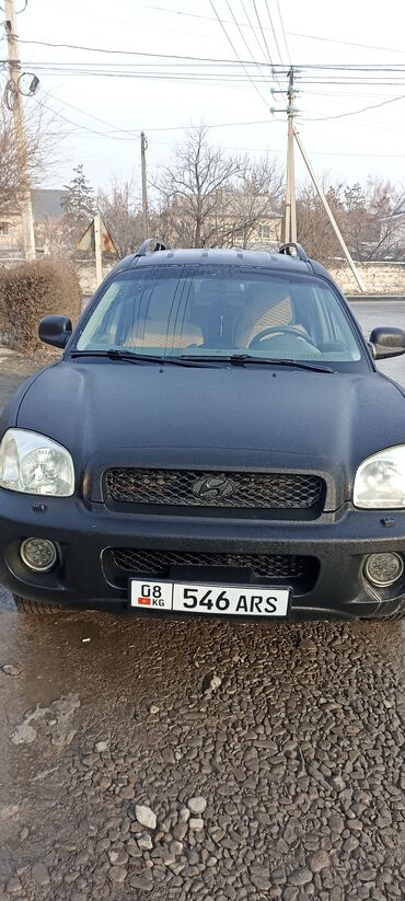 Hyundai: Hyundai Santa Fe: 2002 г., 2.4 л, Вариатор, Газ, Кроссовер