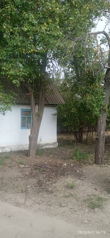 ремонт домов: 4 соток, Бизнес үчүн