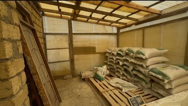 Torpaq sahələrinin satışı: 30 sot, Kənd təsərrüfatı -da lalafo.az — 14 Torpaq sahələrinin satışı: 30 sot, Kənd təsərrüfatı — 14