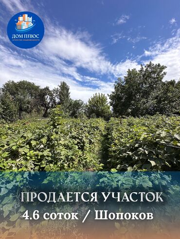 участок село фрунзе: 4 соток, Айыл чарба үчүн