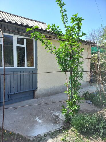продается дом село заря: 60 м², 3 комнаты, Свежий ремонт Без мебели