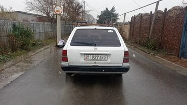 Mercedes-Benz: Mercedes-Benz W124: 1991 г., 2.3 л, Механика, Бензин, Универсал