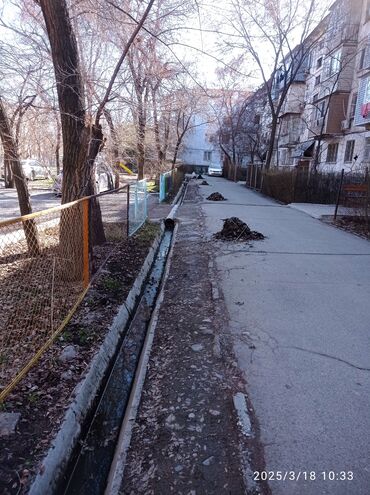 услуги садовника цена: Уборка территории, Другое, Уход за деревьями