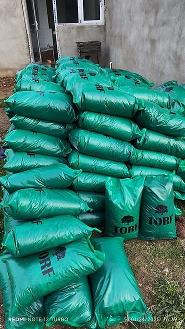 Torf: Torf narin balaken — 6