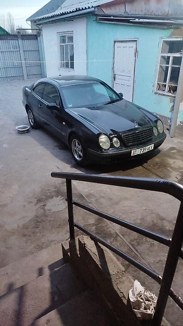 банан цлс: Mercedes-Benz CLK-Class: 1999 г., 2.3 л, Автомат, Бензин, Купе — 3