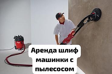 животные в аренду: Жираф аренда Жираф прокат Аренда жирафа Прокат жирафа Шлифовальный — 1
