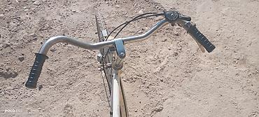 single speed: Городской велосипед с классической рамой - Размер колёс: 28" (узкие — 4