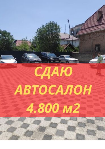 автосалон аренда: Сдаю Автосалон, 4800 м²