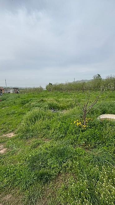 Продажа участков: 78 соток, Для сельского хозяйства — 2