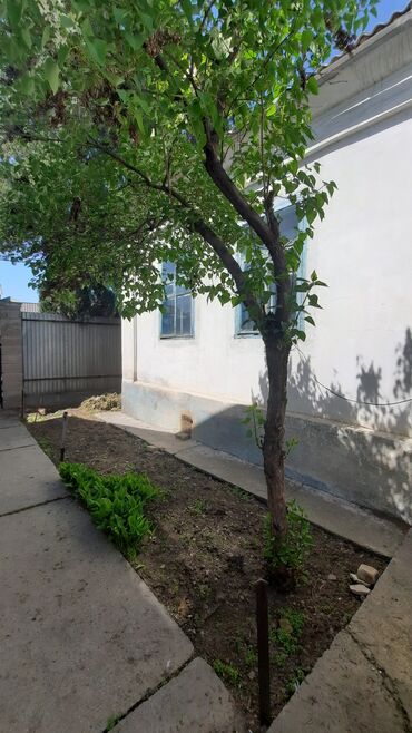 Продажа домов: Дом, 65 м², 4 комнаты, Агентство недвижимости, Старый ремонт — 15