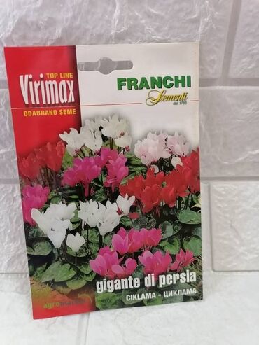 Semena i sadnice: Cena 500din/kesica — 15