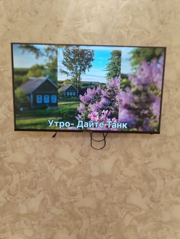 Televizorlar: Televizor Hoffmann