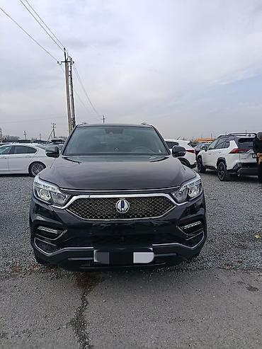 Ssangyong: Ssangyong Rexton: 2019 г., 2.2 л, Автомат, Дизель, Внедорожник — 2