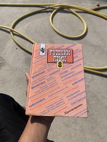 Учебники: Учебники для школы (на фото): - Литература, 6 класс. Издательство — 5