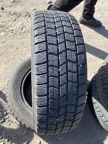 Шины 195 / 65 / R 15, Зима, Б/у, Пара, Легковые, Япония, GoodYear